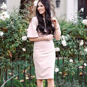 Rachel Parcell Pencil Dress with Flutter Sleeve